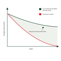 Gráfico: la energía mitocondrial cae con la edad y se preserva con la activación de AMPK de Novida Amla