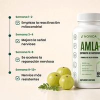 Qué podés esperar semana a semana con Novida Amla: nervios más resistentes y más energía