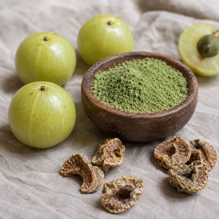 Fruto de amla, el remedio que los curadores del Himalaya llamaban "la enfermera"