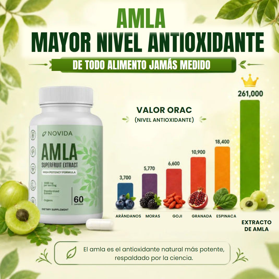 El amla tiene el mayor nivel antioxidante de todo alimento medido: valor ORAC